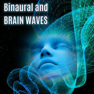 面板搜索小鲤导航
