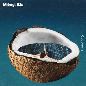 面板搜索小鲤导航
