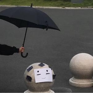 面板搜索小鲤导航
