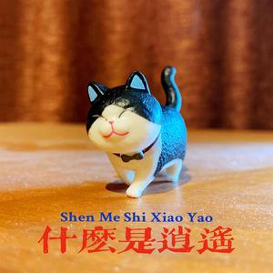 面板搜索小鲤导航
