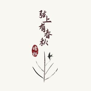 面板搜索小鲤导航
