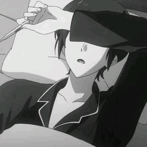 面板搜索小鲤导航
