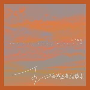 面板搜索小鲤导航
