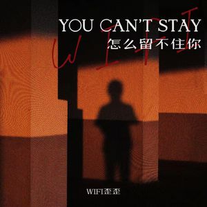 面板搜索小鲤导航
