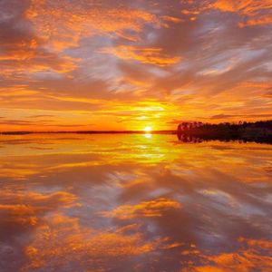 面板搜索小鲤导航
