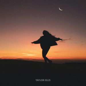 面板搜索小鲤导航
