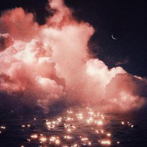 面板搜索小鲤导航
