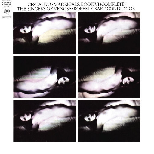 面板搜索小鲤导航
