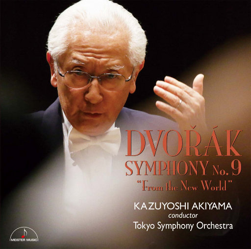 面板搜索小鲤导航
